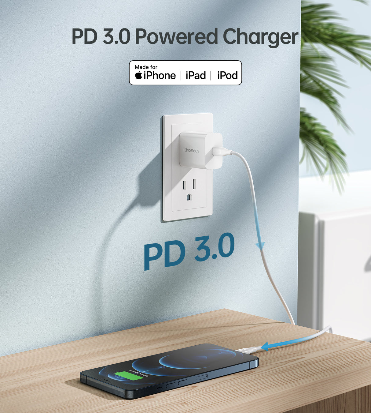 PD5005 USB C Charger 20W Power Delivery Wall Adapter